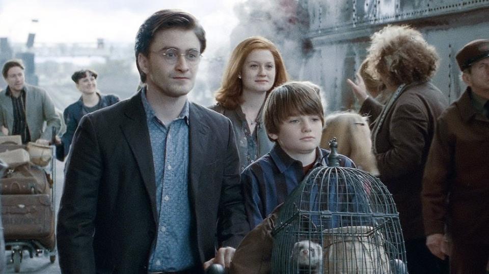 potter 88